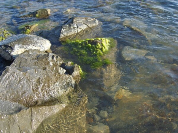 каменистый пляж,валуны