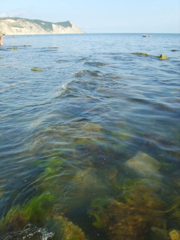 Черное море,прозрачная вода