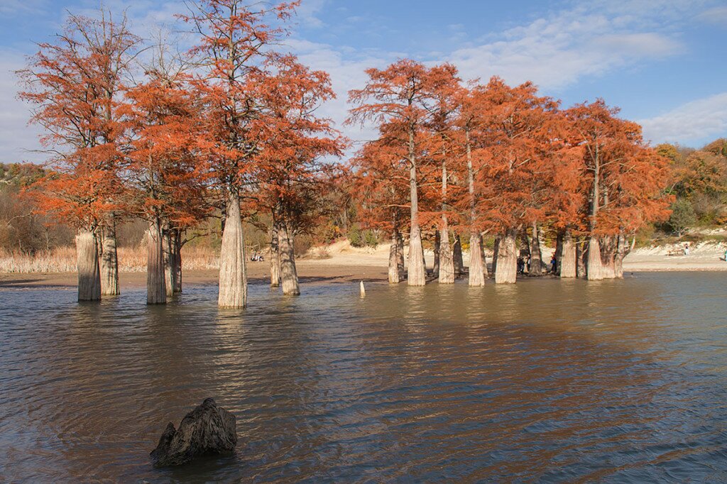 кипарисовое озеро в анапе